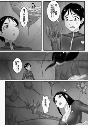 第291頁圖