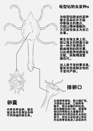 第347頁圖