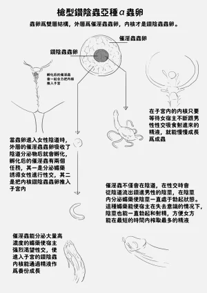 第389頁圖