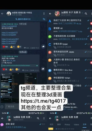 第419頁圖