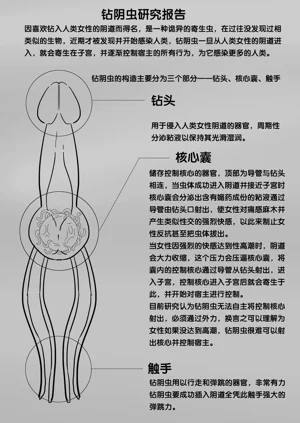 第70頁圖