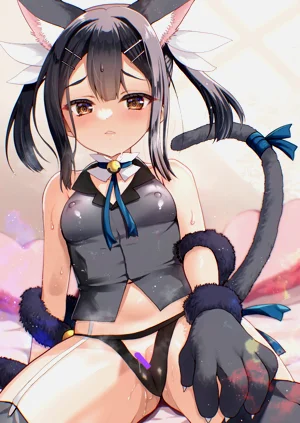 第67页图