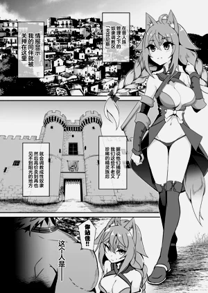 第3页图