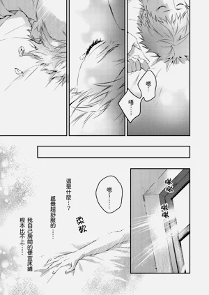 第33页图