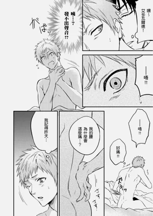 第481页图