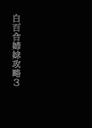 第91頁圖