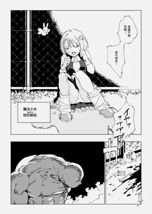 第20页图