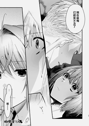 第28頁圖