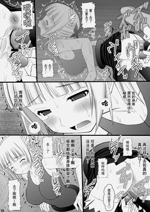 第17页图