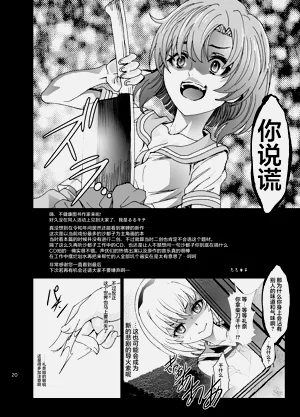 第20頁圖