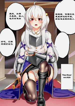 第239頁圖