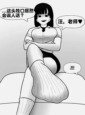 第242頁圖
