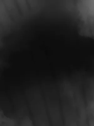 第248頁圖