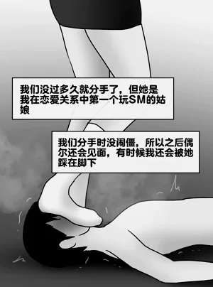 第250頁圖