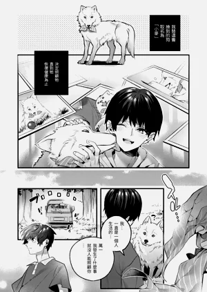 第142頁圖