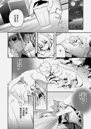 第174頁圖