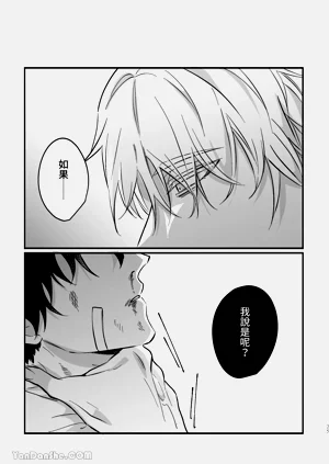 第25页图