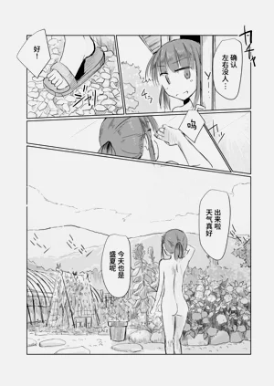 第11页图