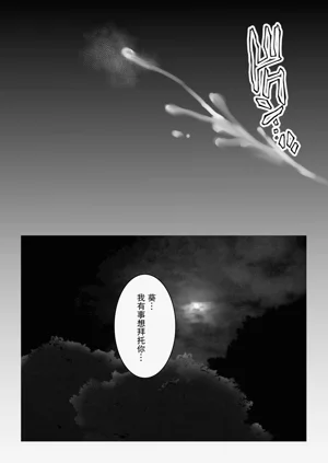 第44頁圖