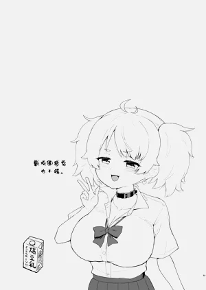 第33页图