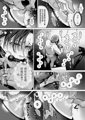 第13页图