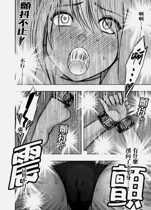 第33页图