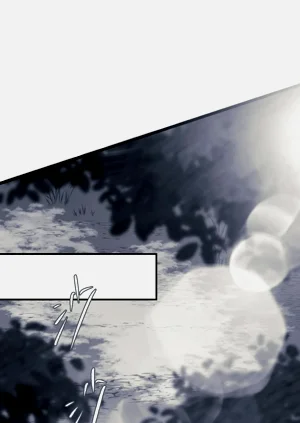 第145頁圖