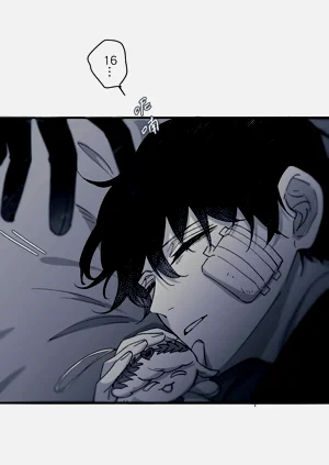 第275頁圖