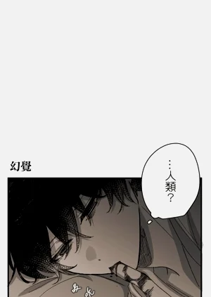 第294頁圖