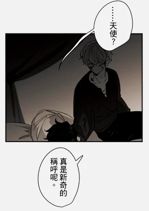 第295頁圖