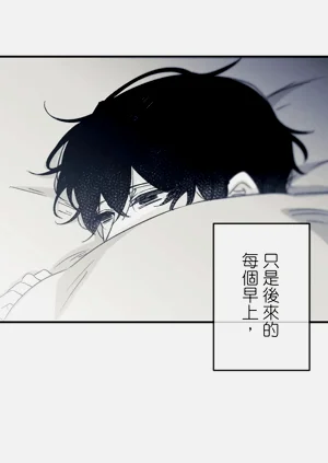 第515頁圖