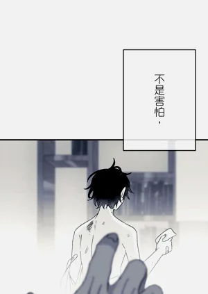 第519頁圖