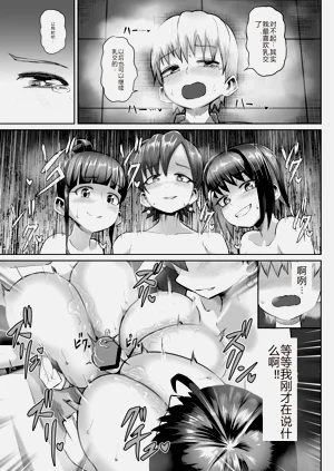 第33页图