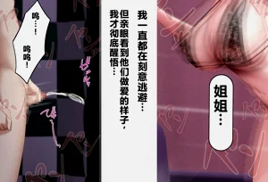 第333頁圖