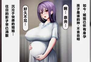 第497頁圖