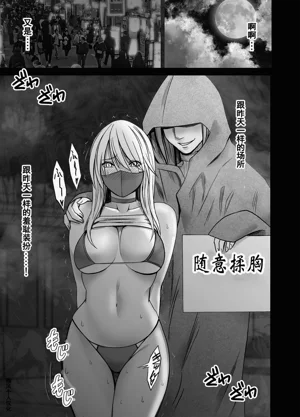 第4页图