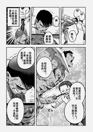 第33页图