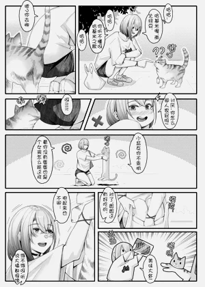 第164頁圖