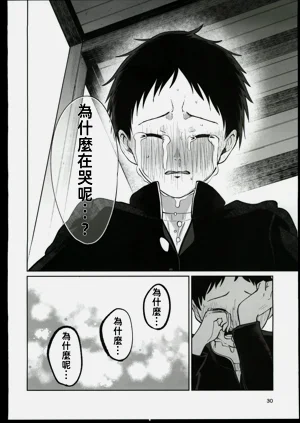 第29頁圖
