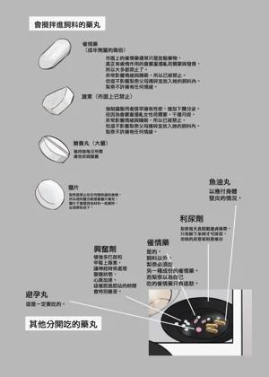 第10頁圖