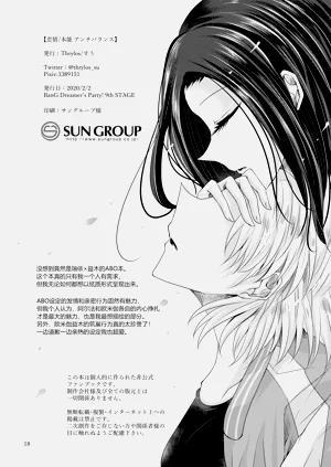 第17页图