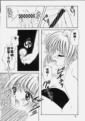 第29頁圖