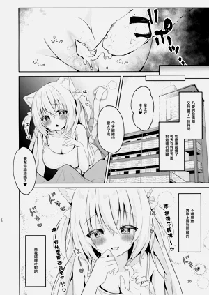 第20頁圖