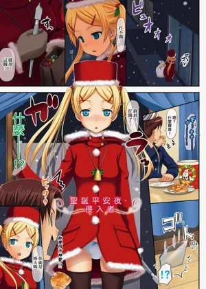 第11页图
