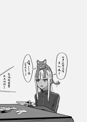 第330頁圖