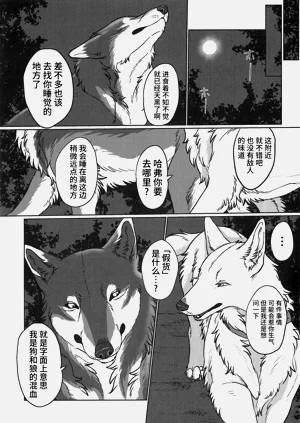 第12页图