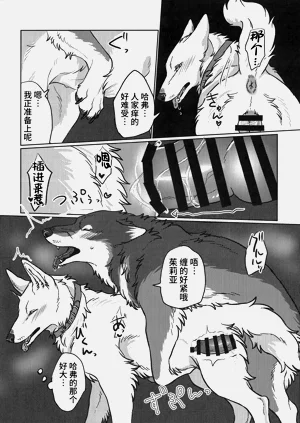 第19页图