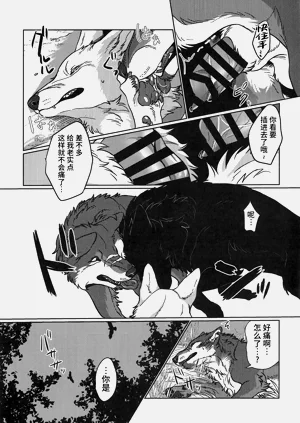 第6页图