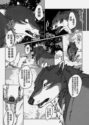 第9页图