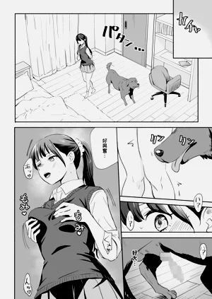 第13頁圖